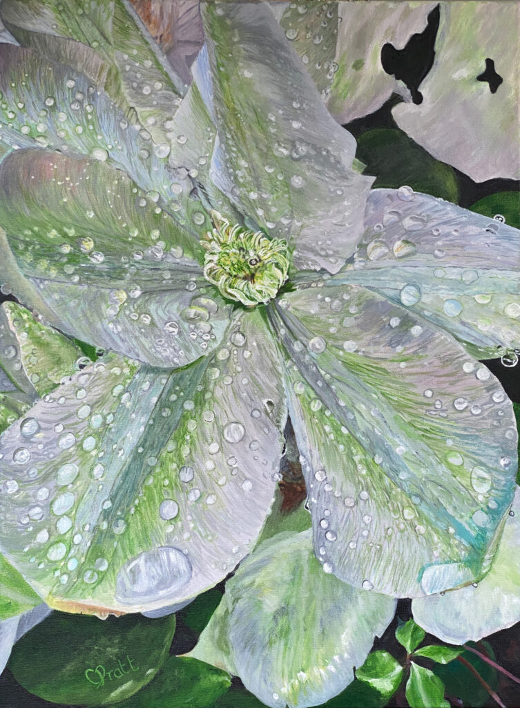 This acrylic painting is a close-up study of a clematis flower drenched in water. The artist has carefully reproduced the patterns formed by the beads of water as they run along the waxy petal surfaces and gleam in the sunlight.