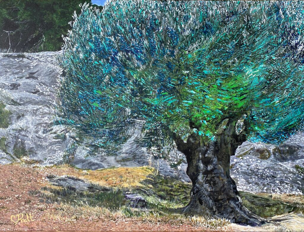 Olive Tree near the Pont du Gard